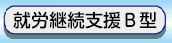 B型